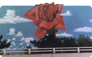 Realistic rose urban freeway mural in Portland, Oregon. Local & state art grants and just-folk handing cash.